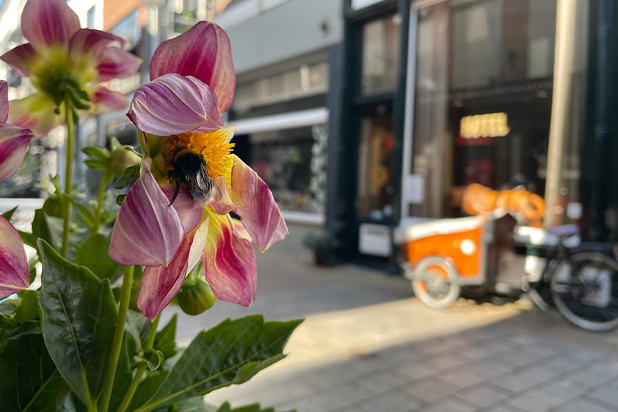 Lente / Zomer arrangement - Hotel in Gorinchem